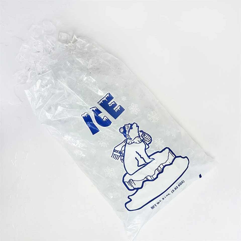 disposable ice packs for food